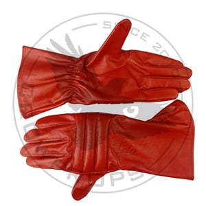 Image of Praetorian Gloves