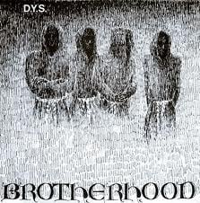 Image of D.Y.S. - "Brotherhood" Lp (green vinyl)