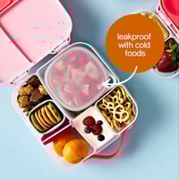 Image 3 of B. Box Lunch Tub Berry