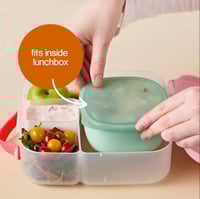 Image 1 of B. Box Lunch Tub Forest