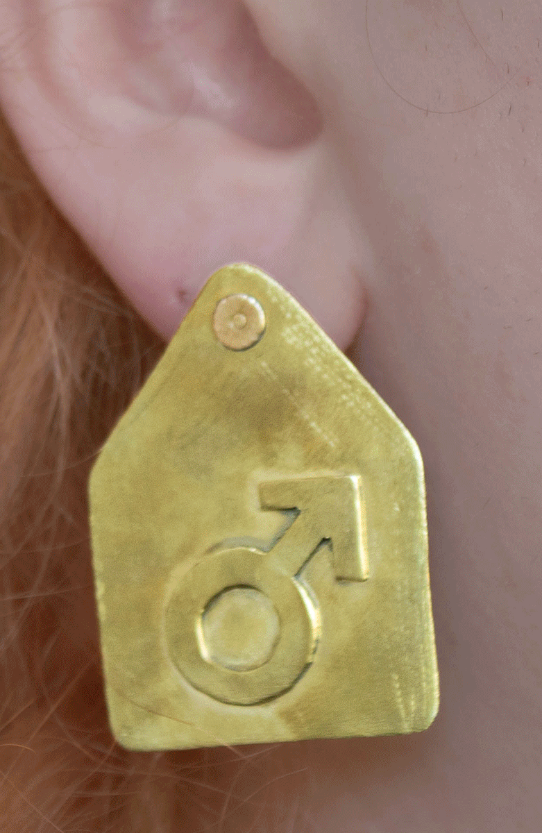 CATTLE TAG earrings