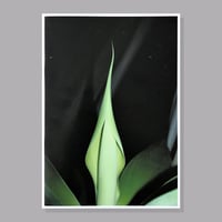Image 3 of Aizawa Yoshikazu - Proof Of Life (last copy)