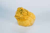 Image 4 of Yellow Curry