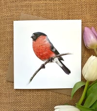 Image 1 of Bullfinch Greetings Card