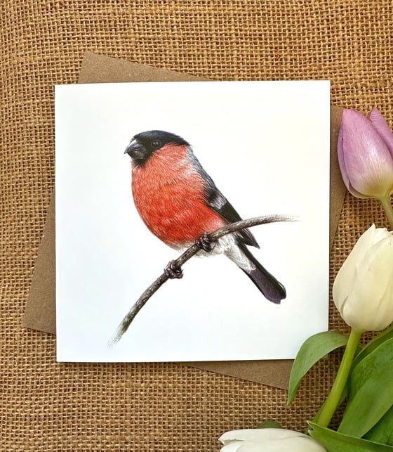 Image of Bullfinch Greetings Card
