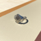 Image of Architects ring