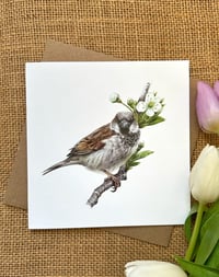 Image 1 of 'House Sparrow' Greetings Card