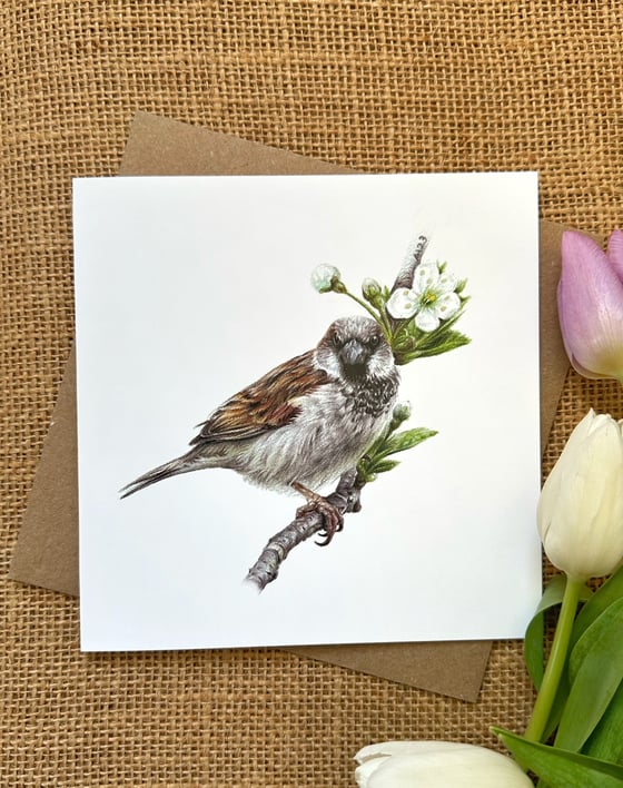Image of 'House Sparrow' Greetings Card