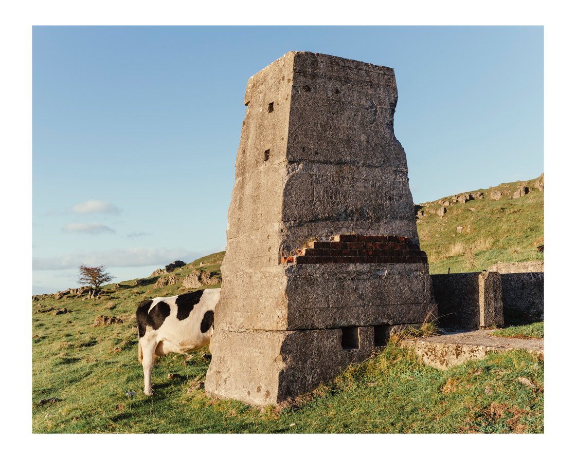 Image of Monolith Cow