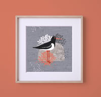 Image 1 of HAND DRAWN OYSTER CATCHER ROCK SIGNED ART PRINT