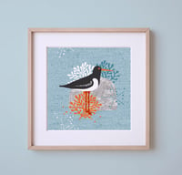 Image 1 of HAND DRAWN OYSTER CATCHER SEASIDE SIGNED ART PRINT