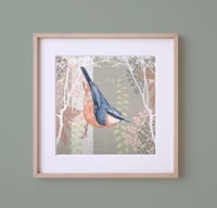 Image 1 of HAND DRAWN NUTHATCH SIGNED ART PRINT