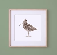 Image 1 of HAND DRAWN SNIPE SIGNED NATURE PRINT