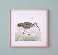 Image 1 of HAND DRAWN CURLEW SIGNED ART PRINT