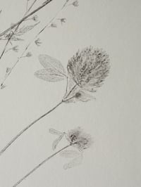 Image 4 of Spring Hedgerows Print - Original Monoprint Framed - 40x50cm
