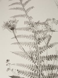 Image 5 of Spring Hedgerows Print - Original Monoprint Framed - 40x50cm