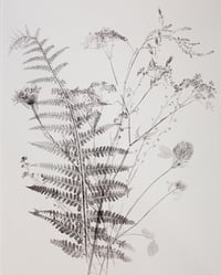 Image 3 of Spring Hedgerows Print - Original Monoprint Framed - 40x50cm