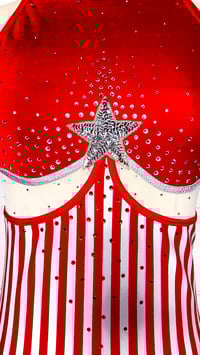 Image 2 of "In the Round" Leotard (M)