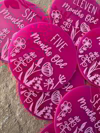 Image 2 of Baby Milestone Discs 