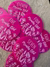 Image 3 of Baby Milestone Discs 