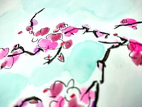 Image 3 of Cherry Blossoms 