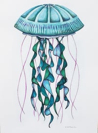Jellyfish - Original Watercolor Art 