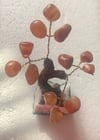 Wishing Tree
