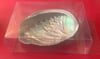 Abalone Shell Bundle