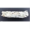 Abalone Shell Bundle