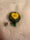 Image of Badge Reels