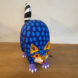 Image of Fabulous cat 