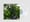 Image of Yung Lean: Lavender - Oreomilkshake / Ginseng Strip 2002 / Greygoose - Double Sided Clear 7"