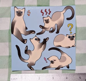 Image of Siamese Cat