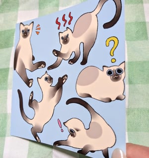 Image of Siamese Cat