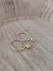 Image of Moon & Star Earrings