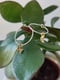 Image of Moon & Star Earrings