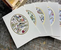 Image 2 of Lucent Bloom blank greetings cards & envelopes - set of 5 