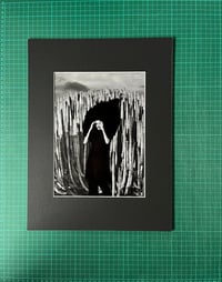 Image 2 of // PEUR SUR LA VILLE