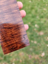 Image 4 of Ringed Gidgee 20