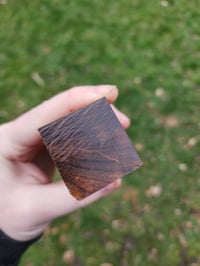 Image 4 of Ringed Gidgee 24