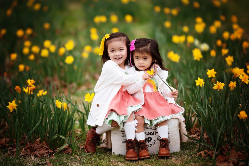 Image of Feb 22nd:  Daffodil Mini Sessions **$50 DEPOSIT**