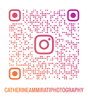 Image of Newborn session Info - Packages to choose from 2025