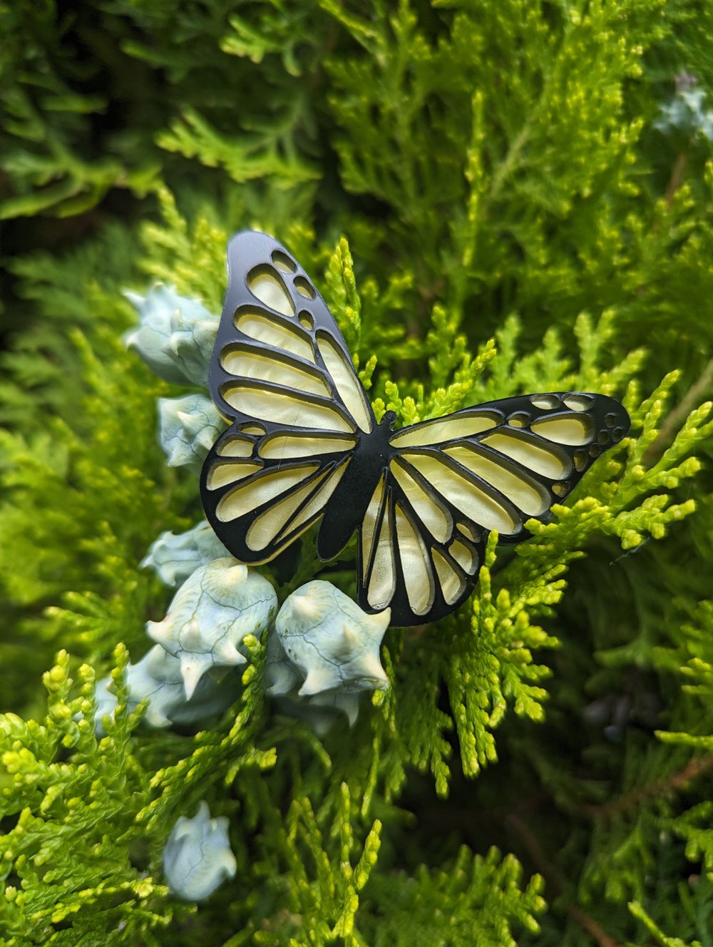 Yellow Butterflies 