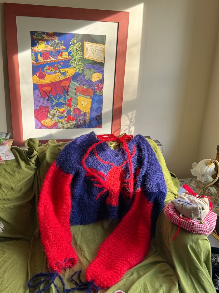 Image of lobster mohair sweater