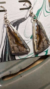 Image 2 of petrified wood earrings