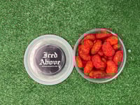 Iced Above Manguitos