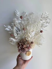 Image 2 of White and Lilac everlasting 