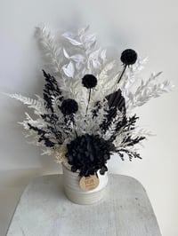 Image 2 of Black and White Everlasting 