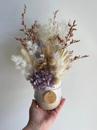 Image 2 of Neutral and lilac everlasting 
