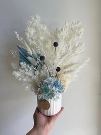 Image 2 of Baby blue and white everlasting